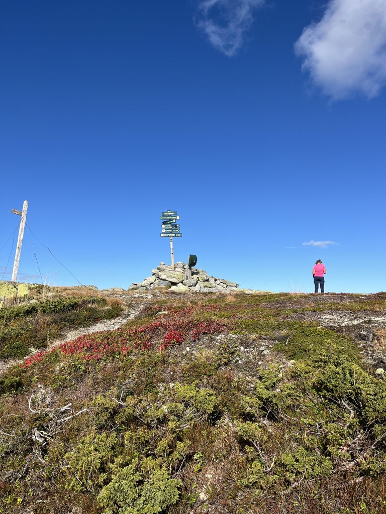 Photo №1 of Skjervungfjellet