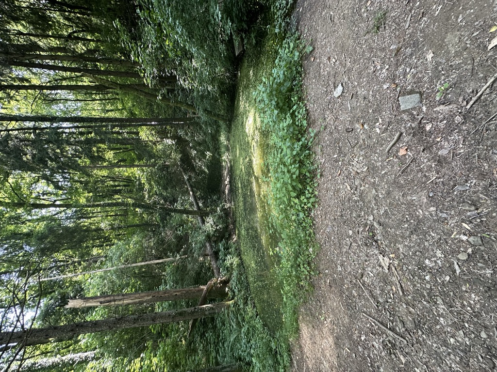 Photo №1 of Škofce