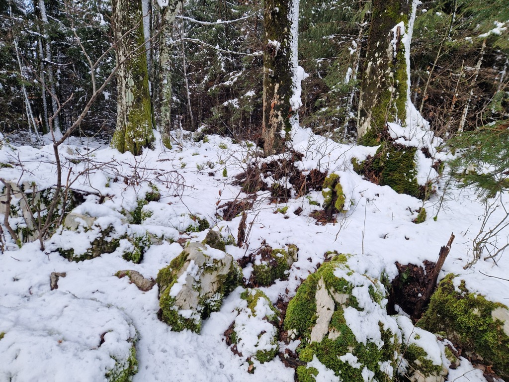 Photo №2 of Škrilje