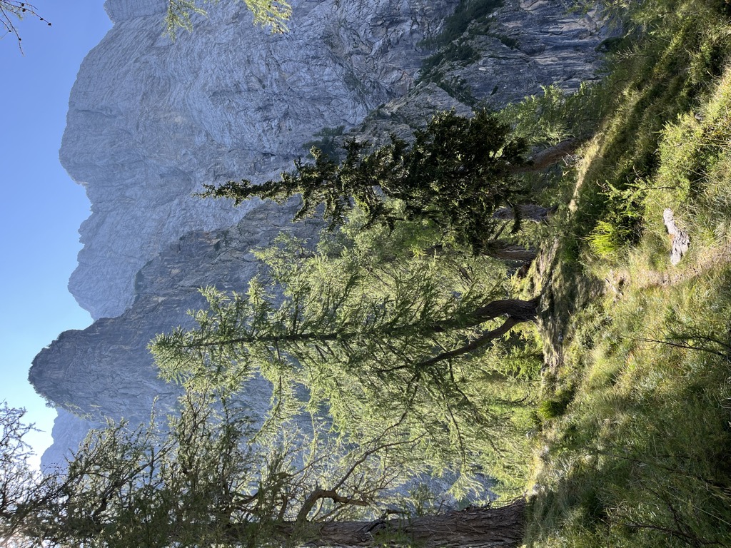 Photo №2 of Slatnica