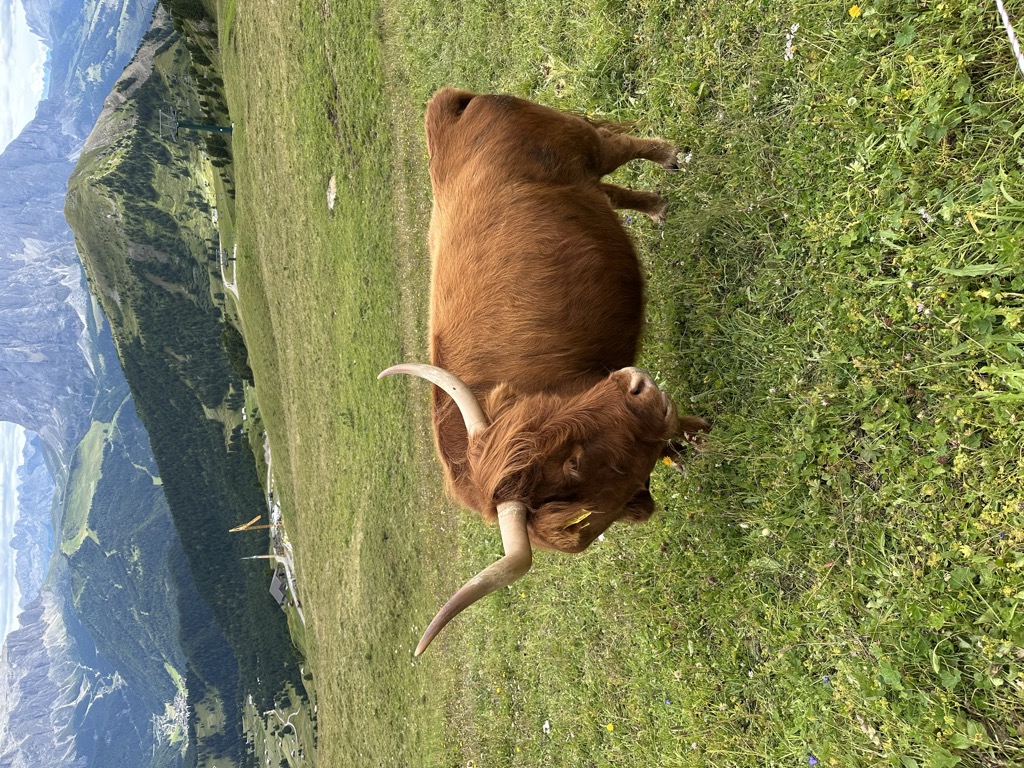 sofie-hutte-baita-sofie