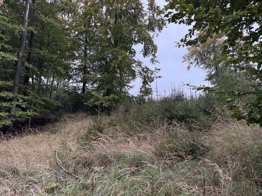 Photo №2 of Sohlberg