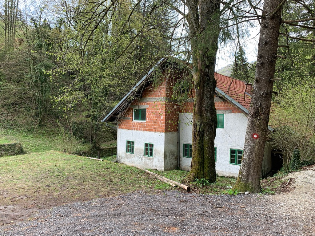 soiceva-kuca
