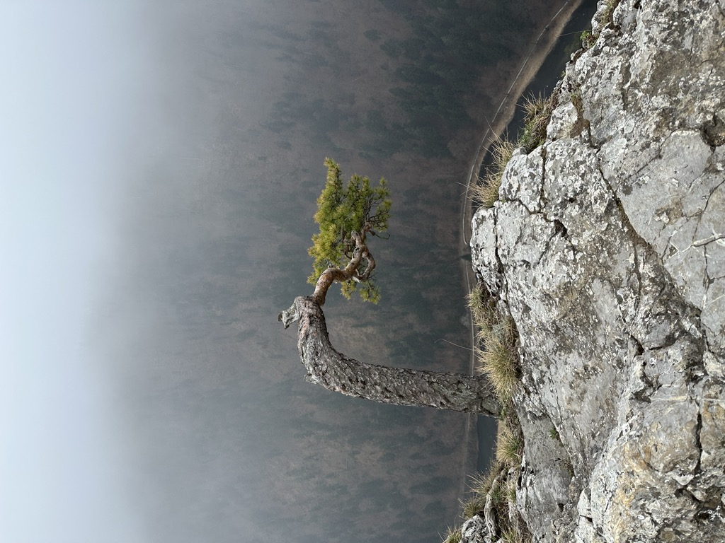 Photo №1 of Sokolica