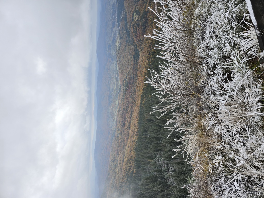 Photo №1 of Sokolica