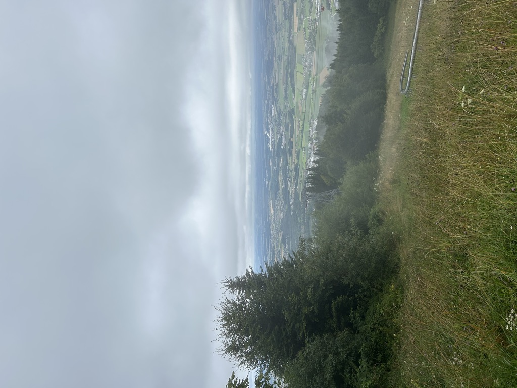 sommerrodelbahn-grunberg-flitzer-1