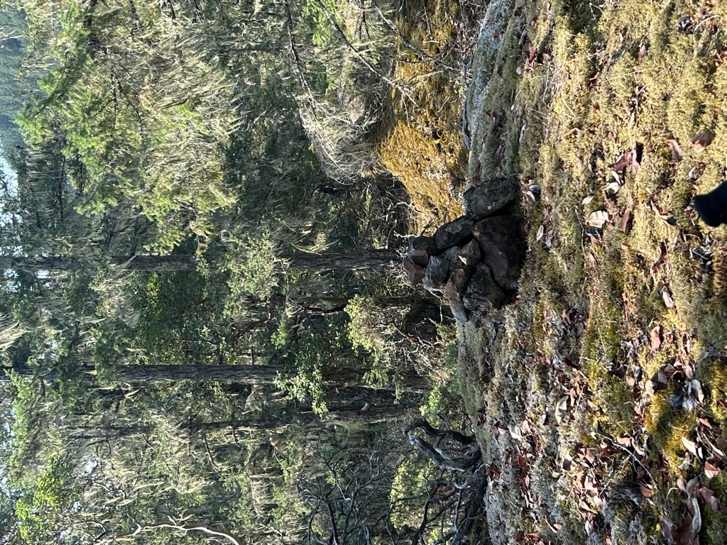 Photo №2 of Sooke Hills