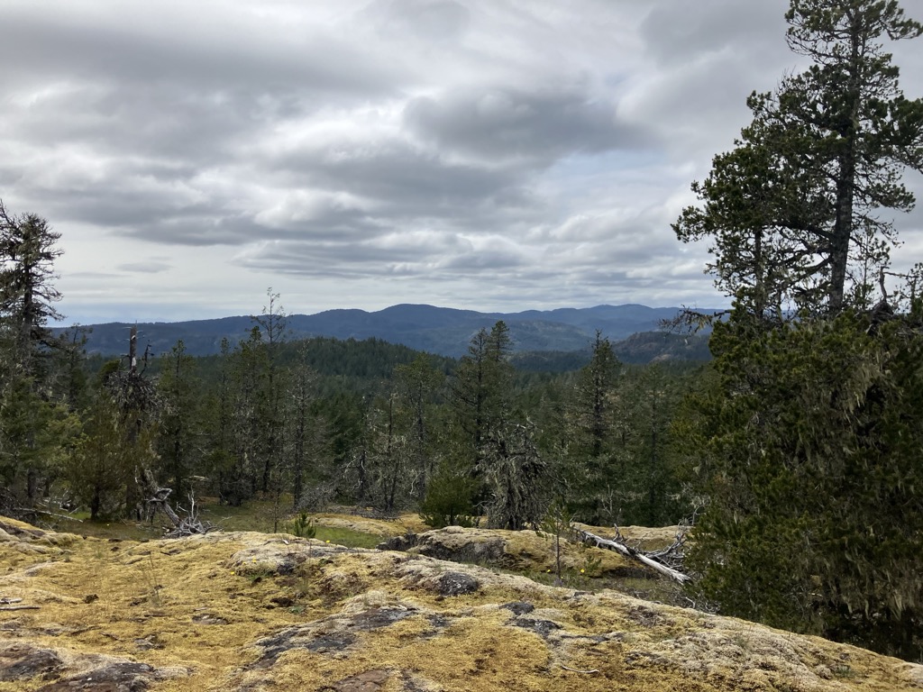 Photo №2 of Sooke Mountain