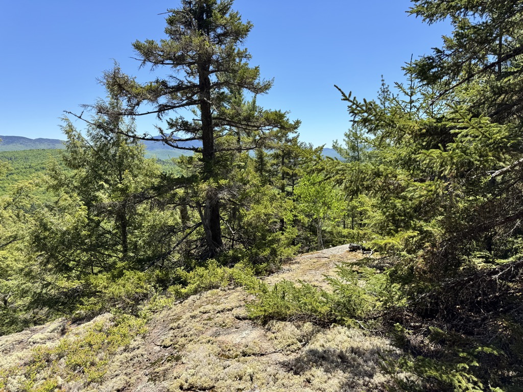 Photo №3 of South Ridge