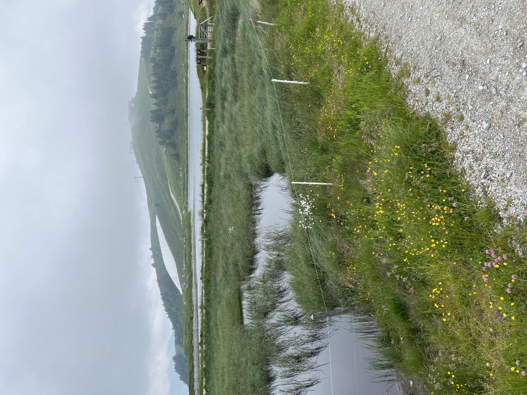 Photo №2 of Speicherteich Resterhöhe