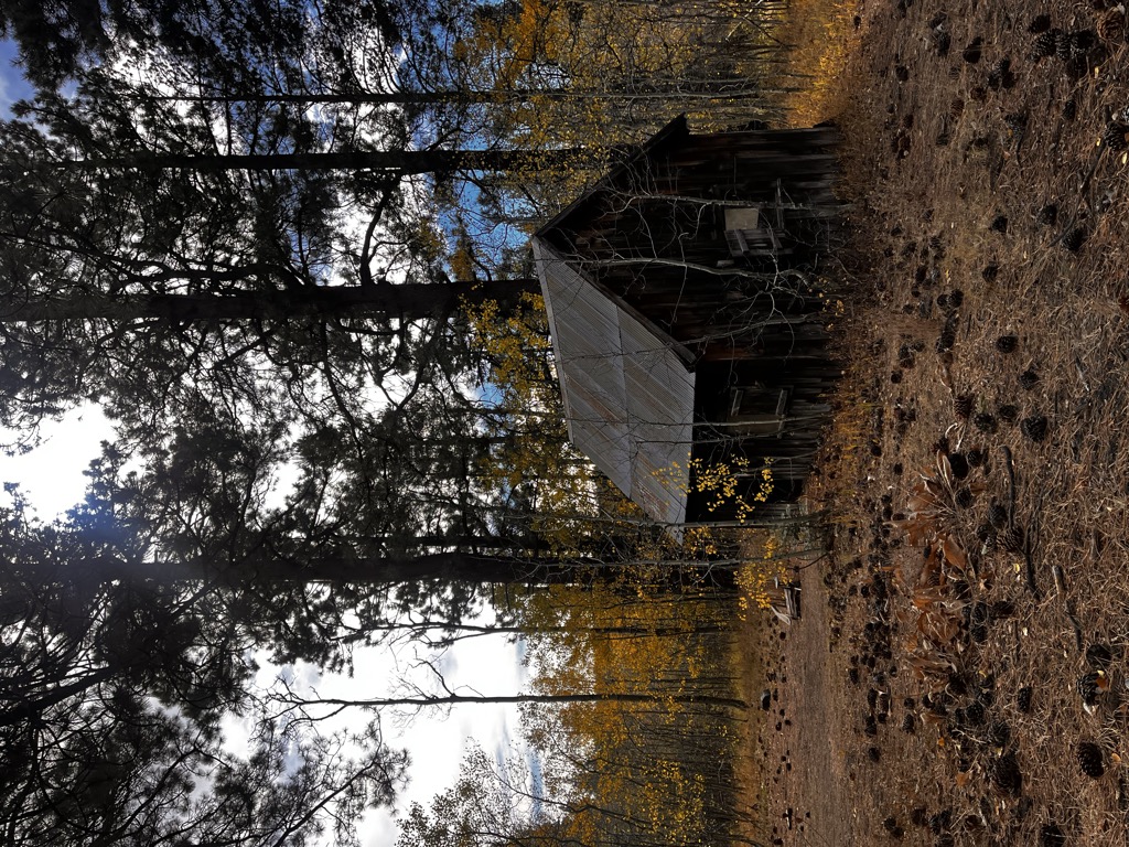 spencer-s-cabin