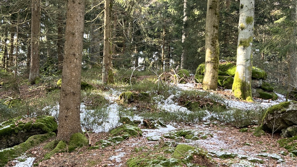Photo №2 of Sperrbühel