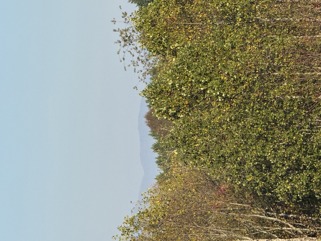 Photo №1 of Spring Mountain