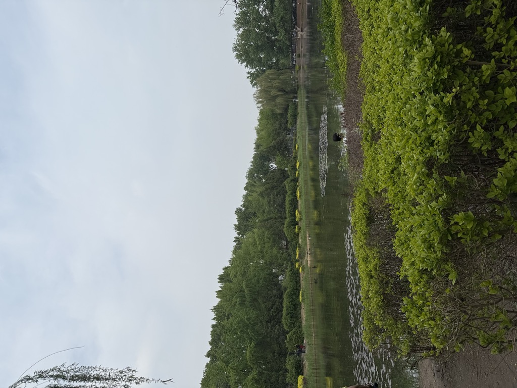 Photo №2 of Square River
