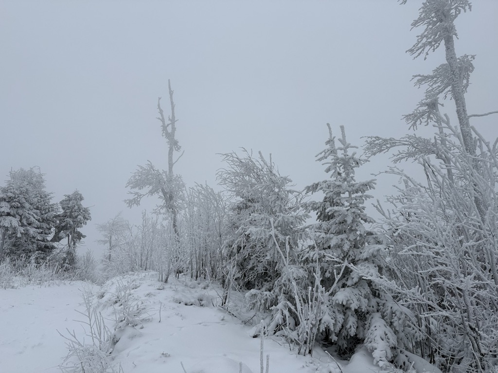 Photo №2 of Średni Groń