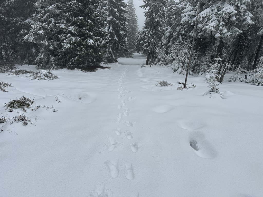 Photo №1 of Średnia Kopa