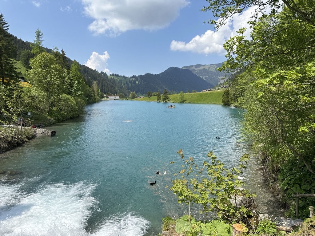 Photo №3 of Stausee Steg