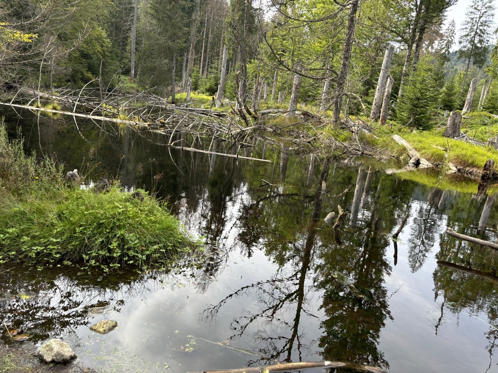 Photo №2 of Steinbachklause