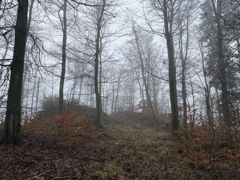 Photo №2 of Steinberg