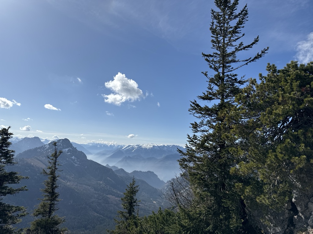 Photo №2 of Jacksonstein