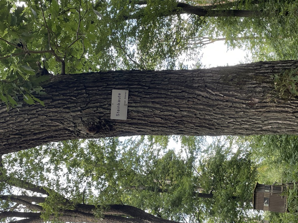 Photo №1 of Steinkaute