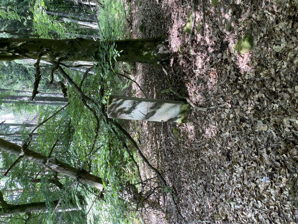 Photo №1 of Steinkopf