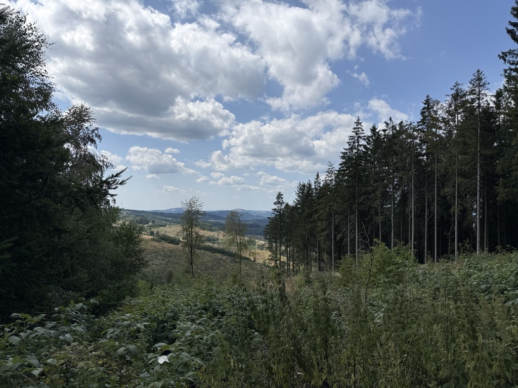 Photo №2 of Stengenberg