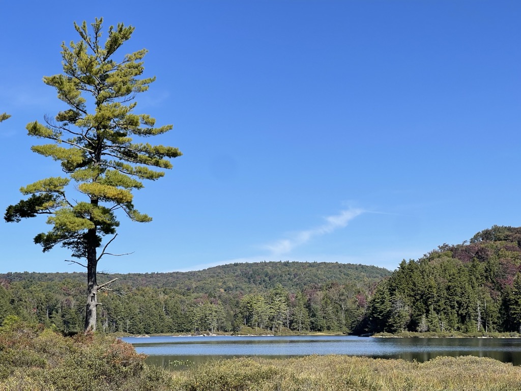 Stewart Lake
