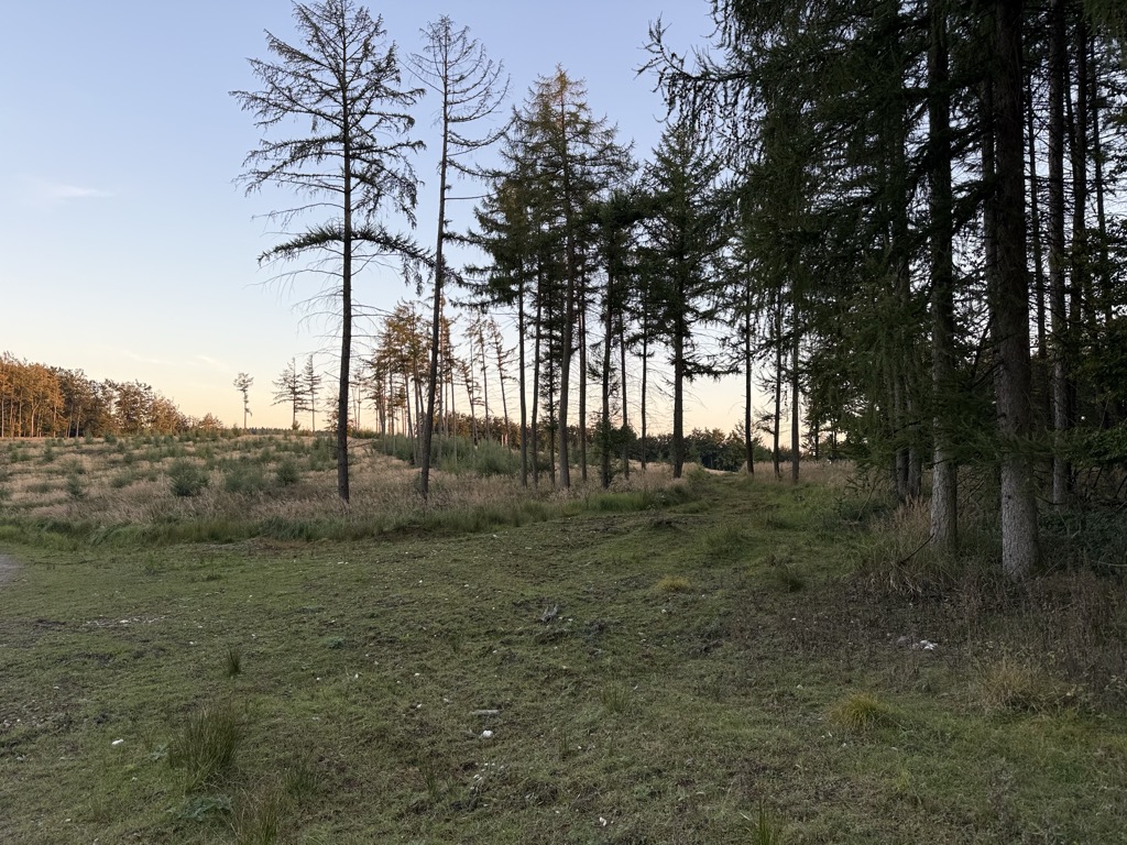 Photo №2 of Stienskopf