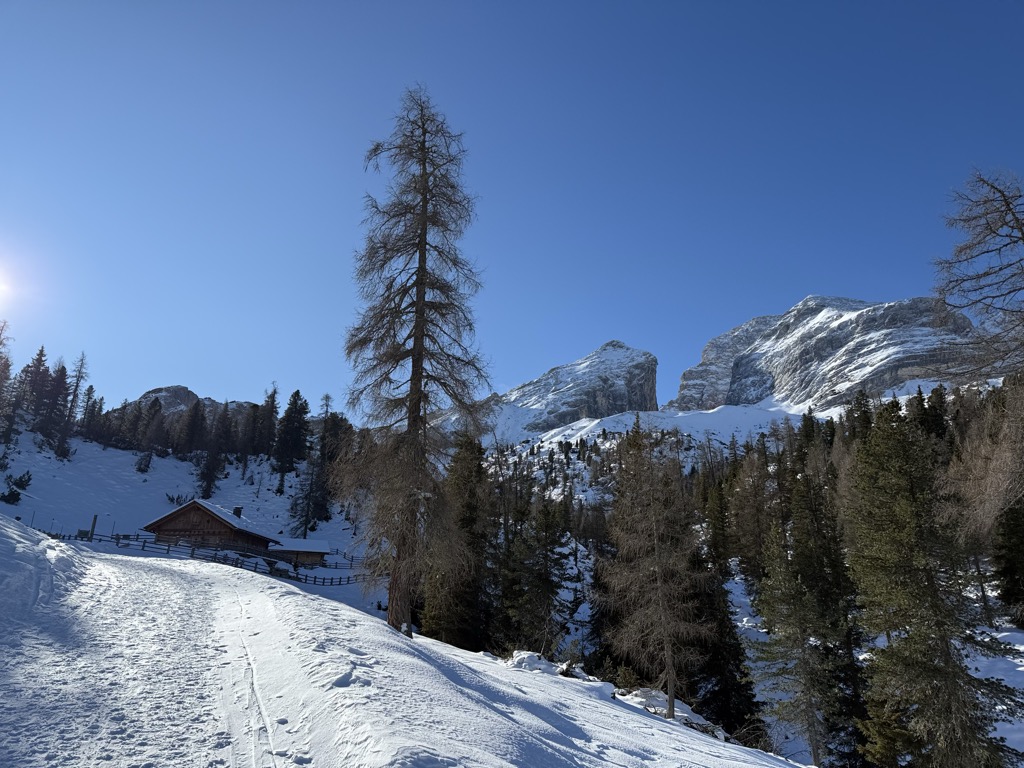 stolla-alm-malga-stolla-2