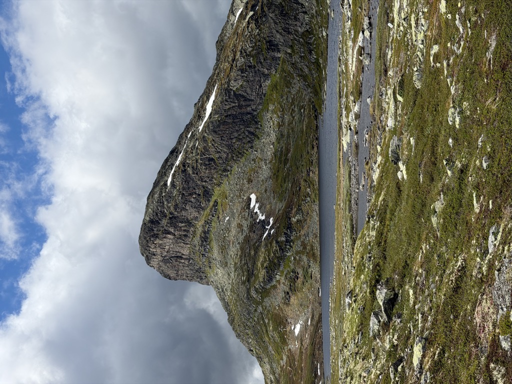 Photo №4 of Storehorn