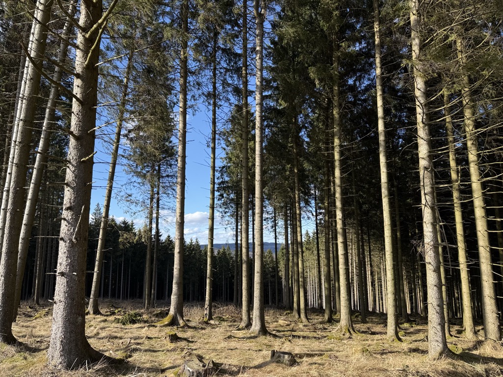 Photo №2 of Strang