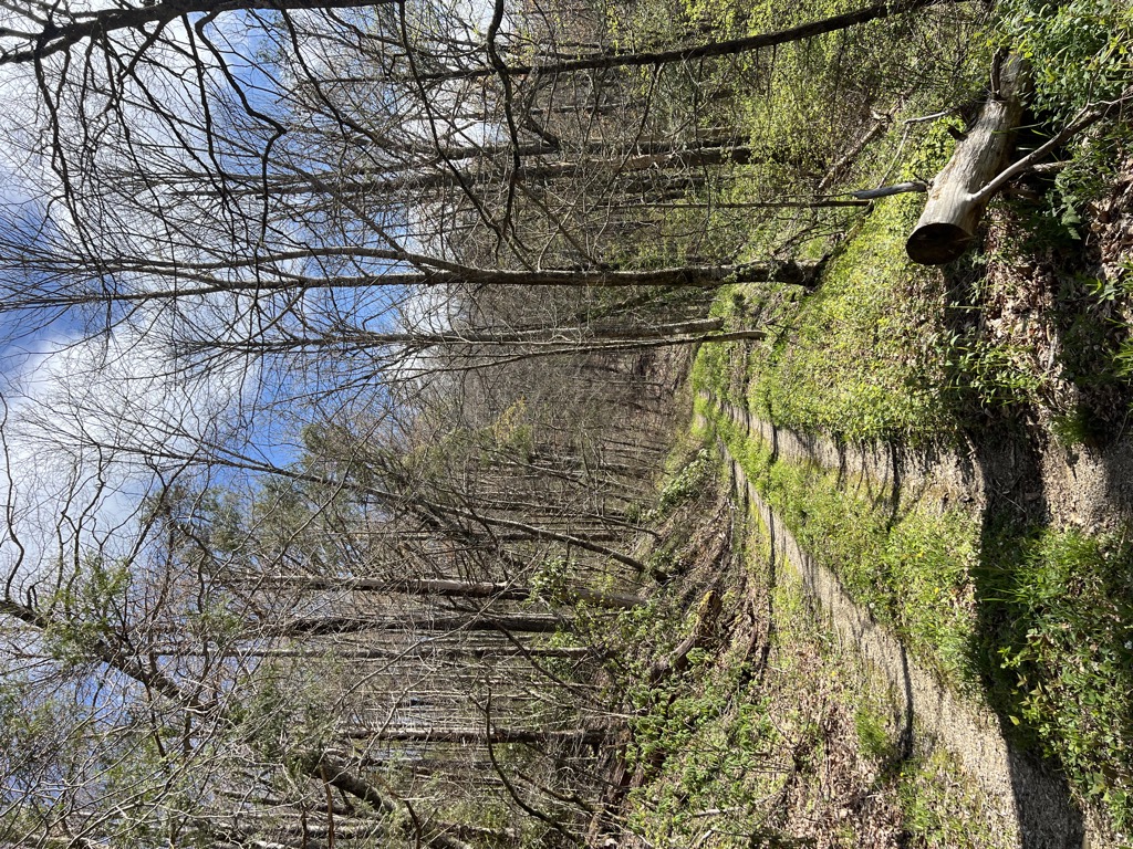 Photo №1 of Strawberry Knob