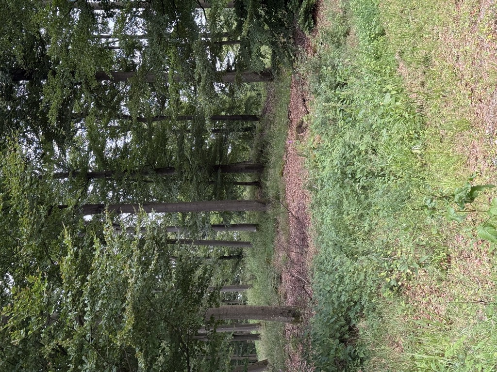 Photo №2 of Streitegge