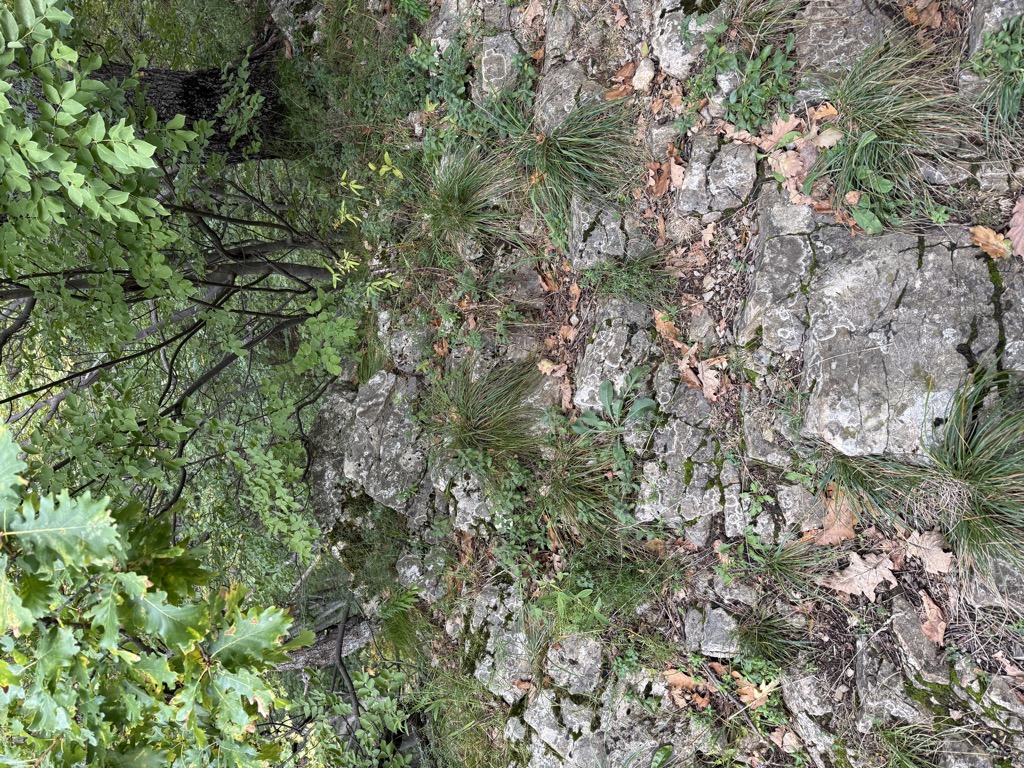 Photo №1 of Strmopeć