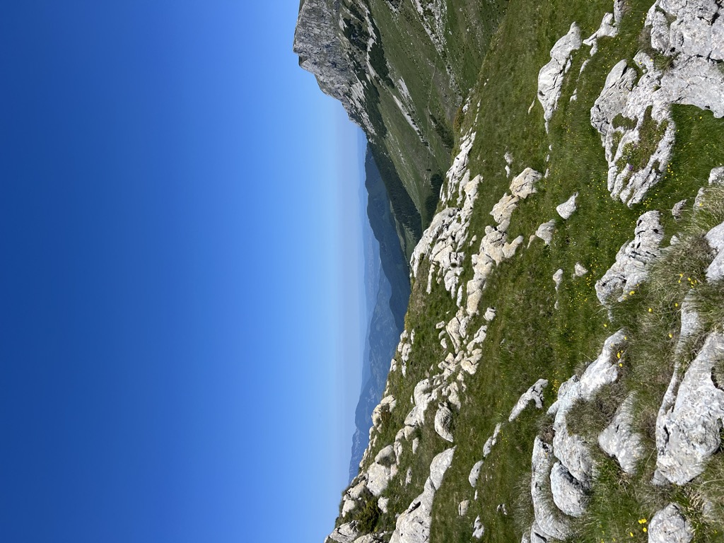 Photo №2 of Strungile Mici