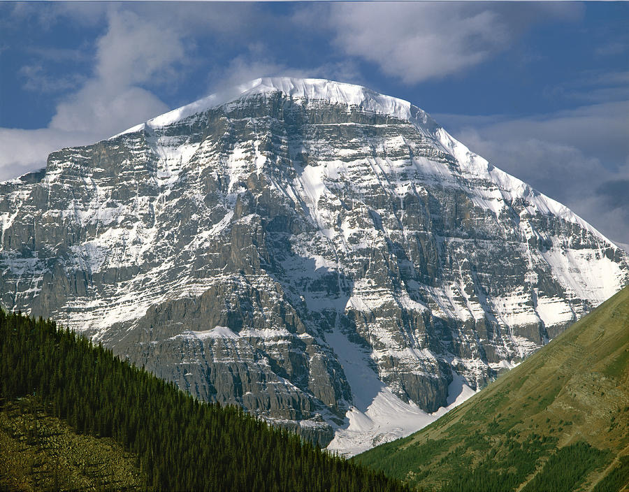 Photo №1 of Stutfield East