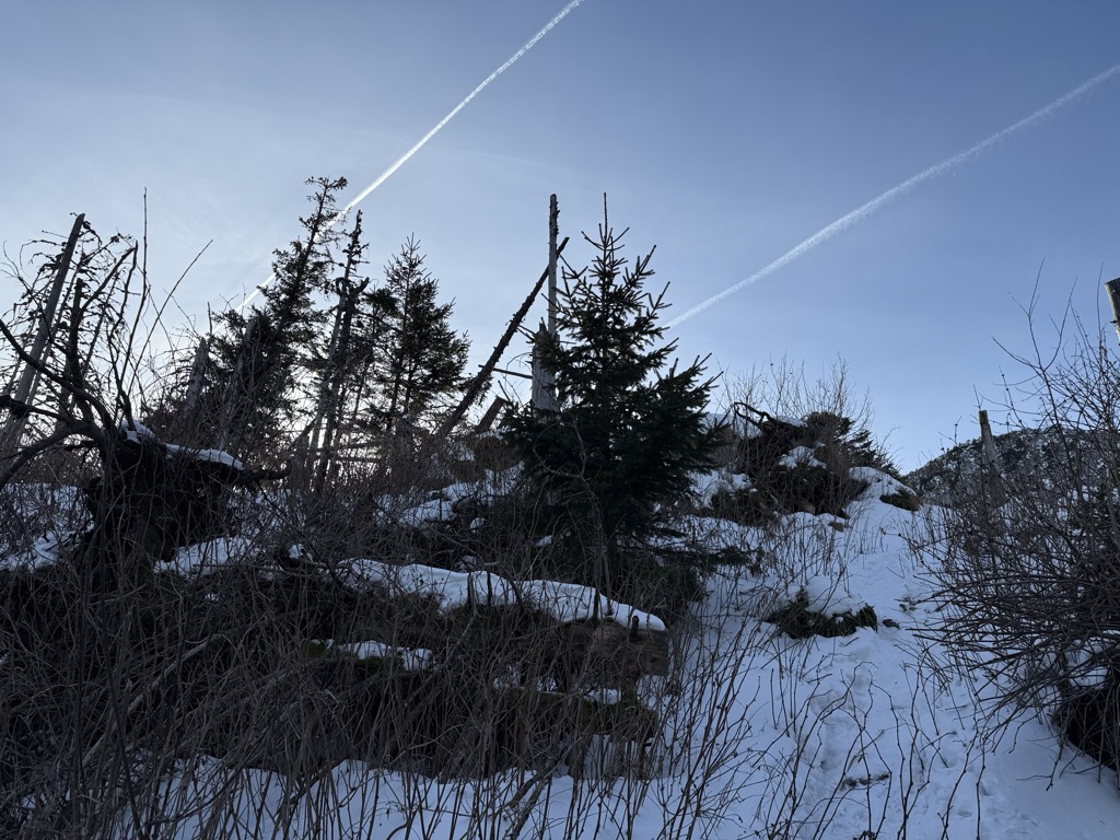 Photo №1 of Suchy Wierch