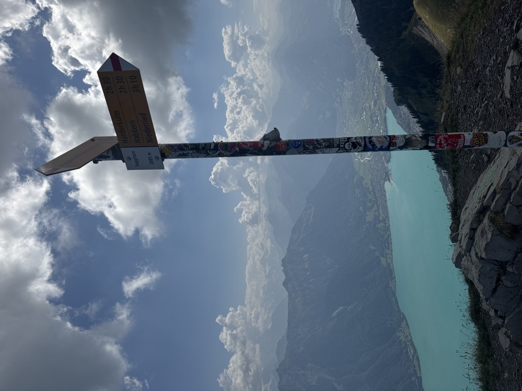 Photo №1 of Suggiturm