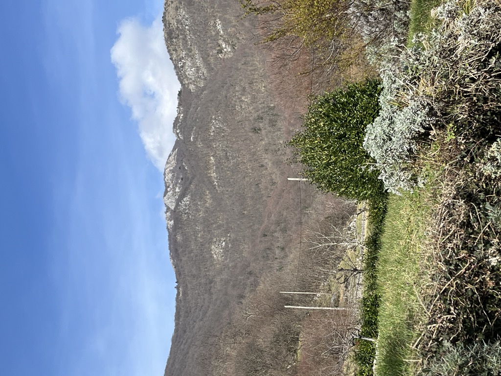 Photo №1 of Suhi vrh