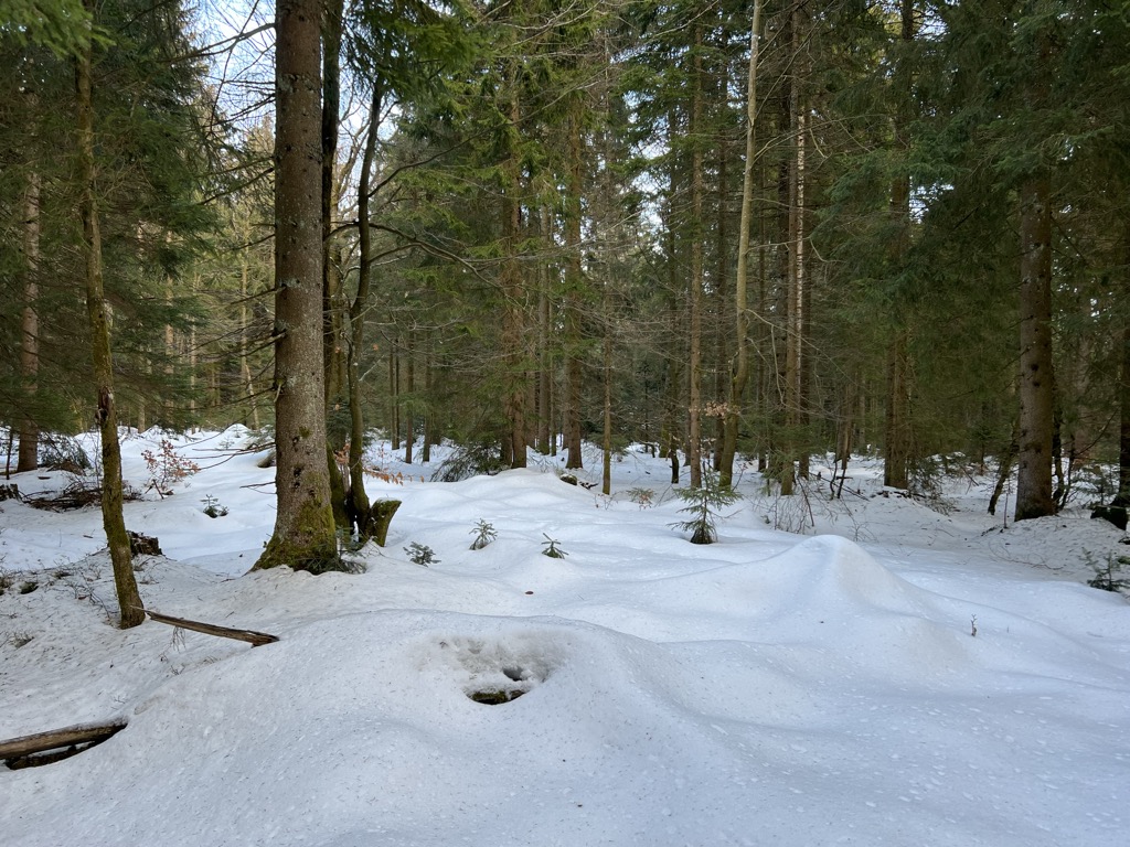 Photo №1 of Sulzberg