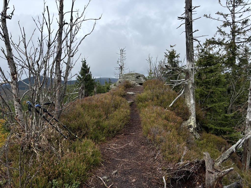 Photo №1 of Sulzriegel