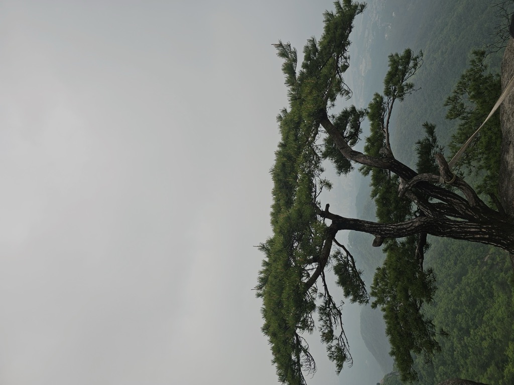 Photo №1 of Suraksan