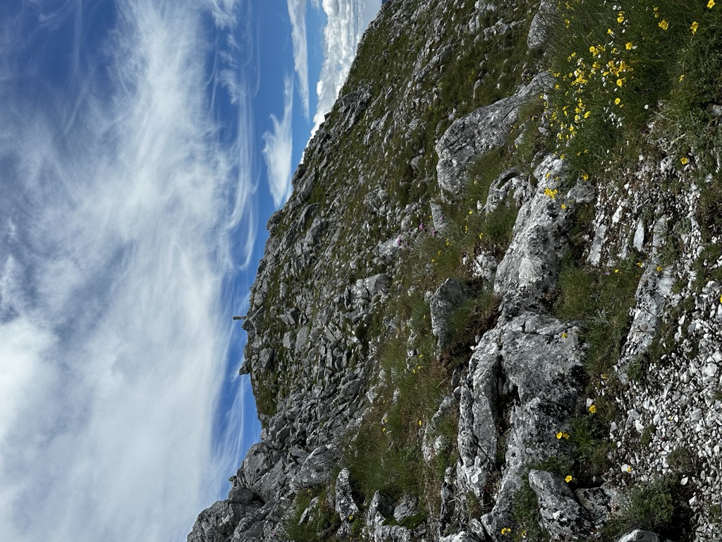 Photo №2 of Susarón
