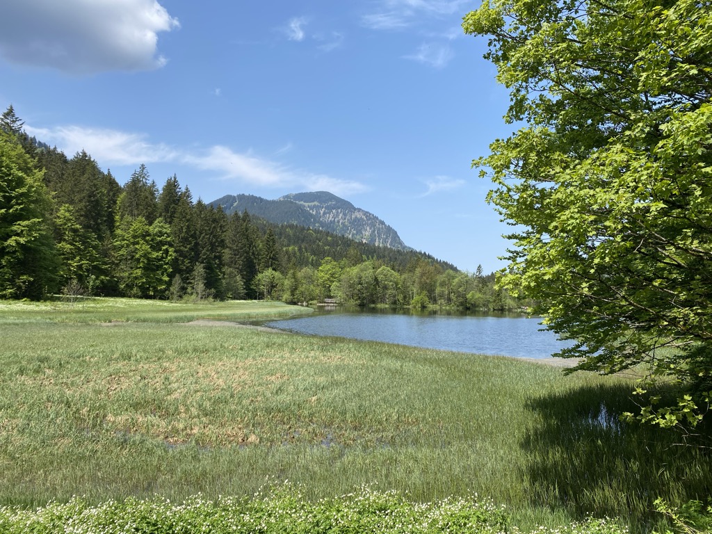 Photo №2 of Suttensee