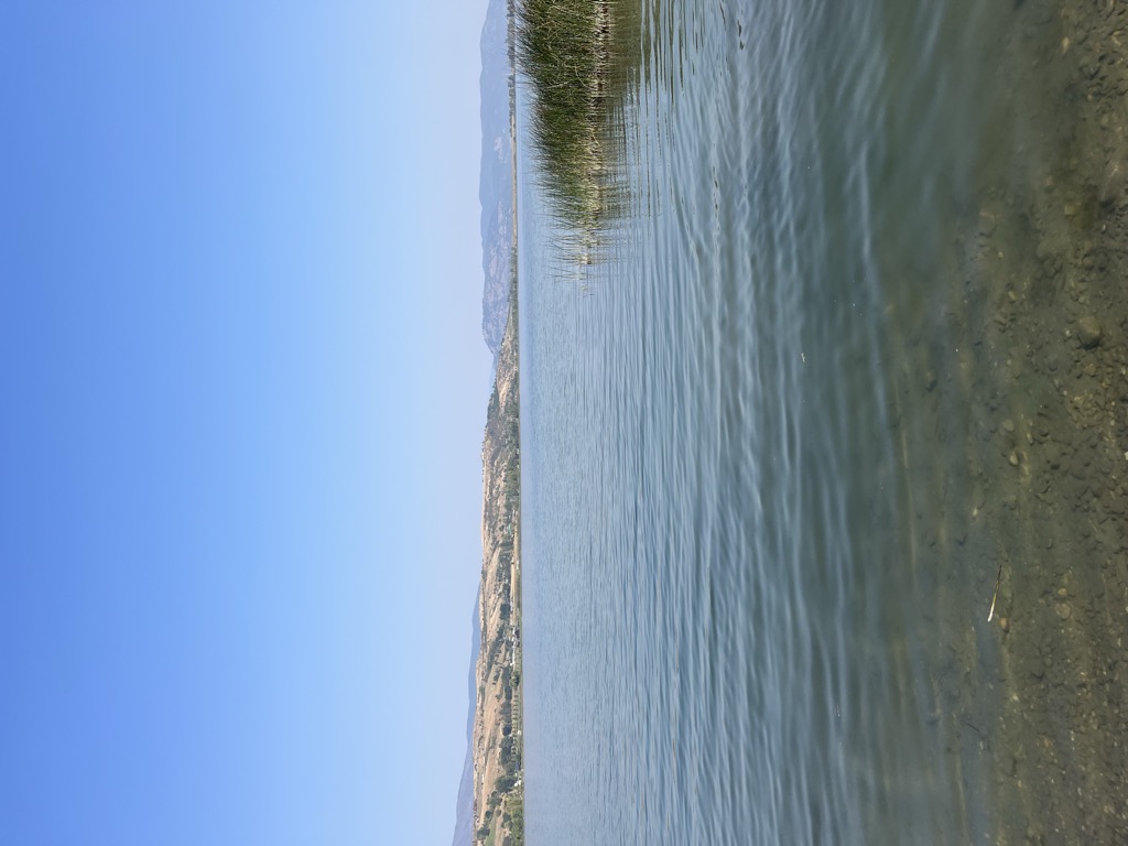 Photo №2 of Swan Lake