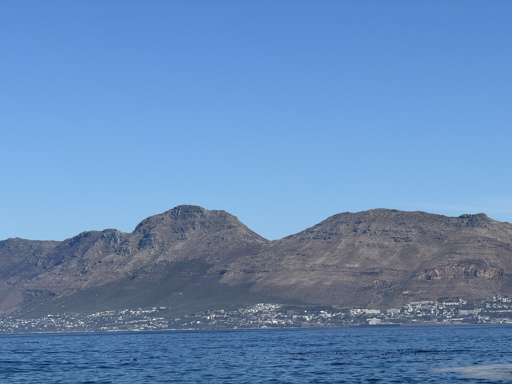 Photo №1 of Swartkop