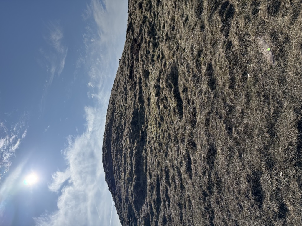 Photo №1 of Swine's Back