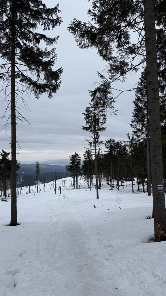 Photo №1 of Szyndzielnia