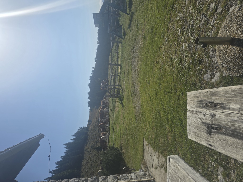 taborniski-dom-sija-1